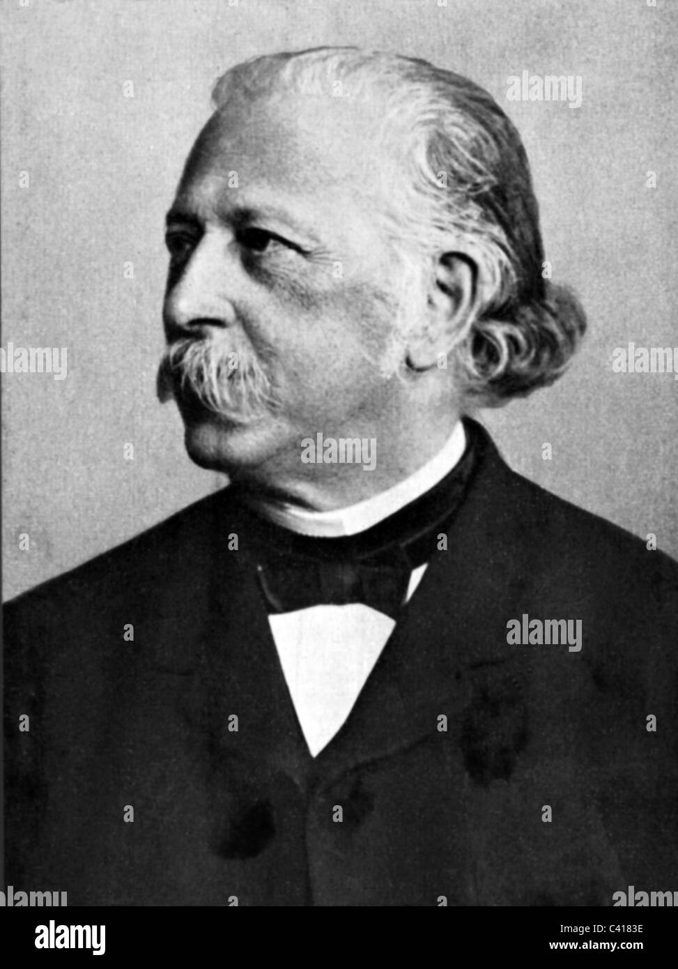 Fontane, Theodor, 30.12.1819 - 20.9.1898, German author / writer (poet), portrait, 1890, Stock Photo