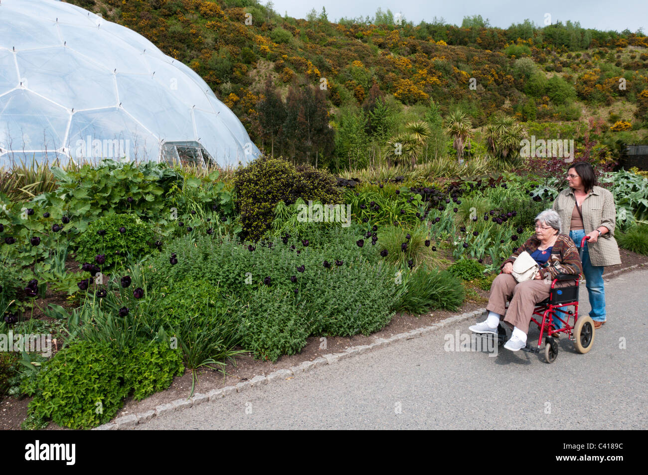 Wheelchair access to the Eden Project Stock Photo