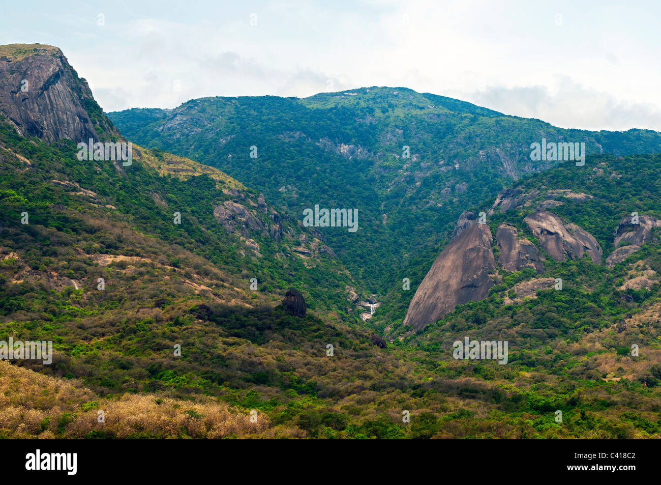 Western ghats in India with thick vegetation Stock Photo