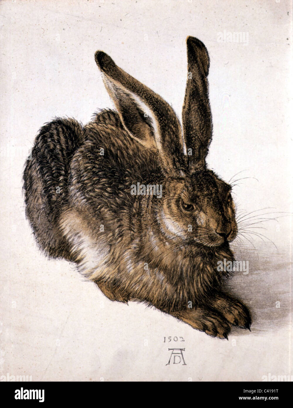 fine arts, Duerer, Albrecht (1471 - 1528), 'Feldhase' (Young Hare), watercolour, 1502, Albertina, Vienna, Austria, zoology, hare Stock Photo