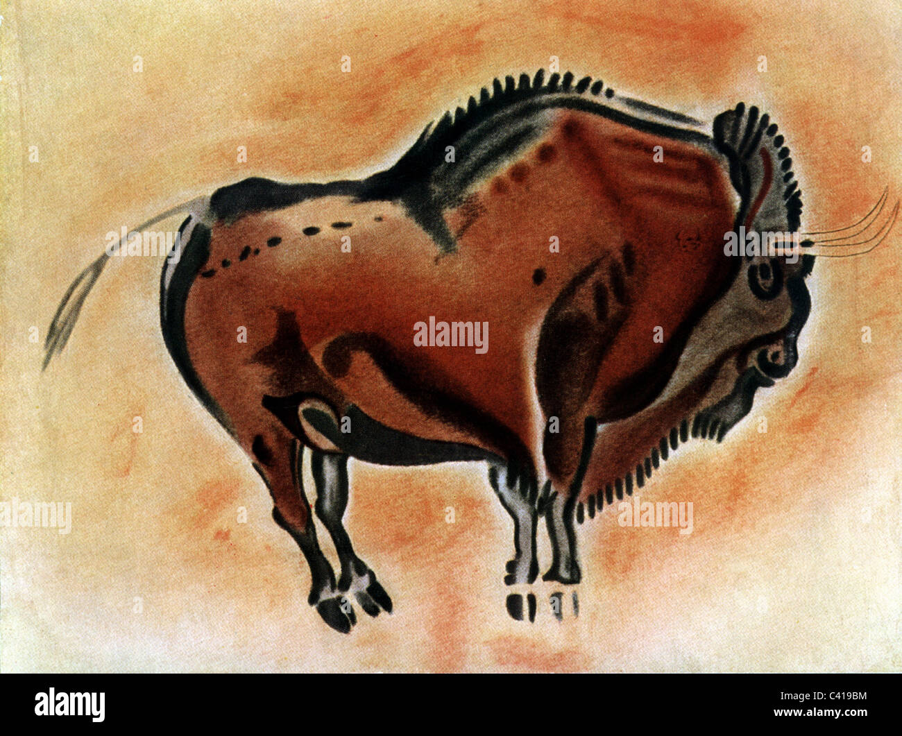 antiquity / prehistory, cave-paintings, Altamira, bison, drawing Stock  Photo - Alamy