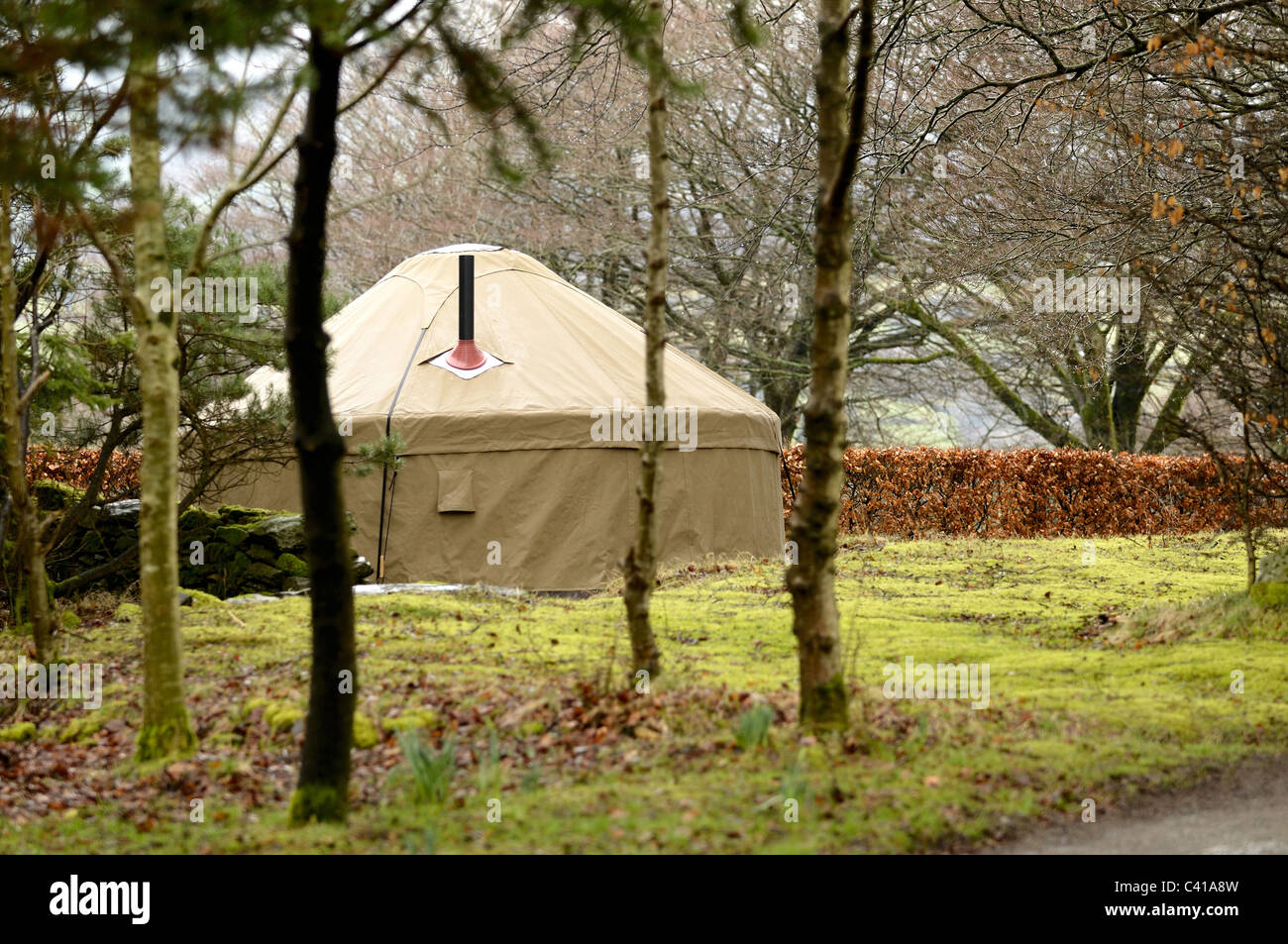 PantGlas retreat with a single Yurt erected on the property Stock Photo