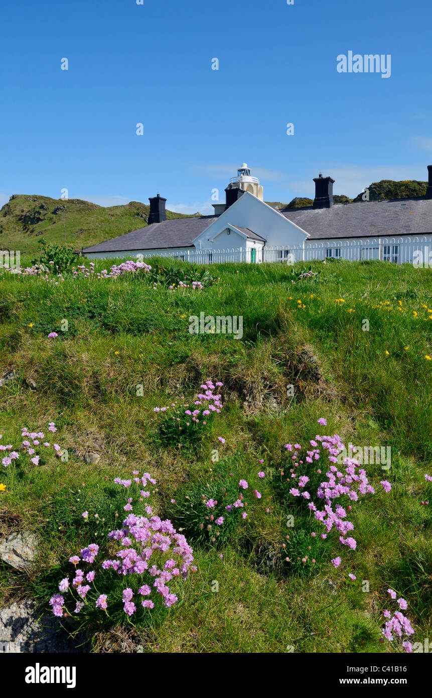 Cottages at Bull Point lighthouse near Mortehoe, Devon, England. Stock Photo