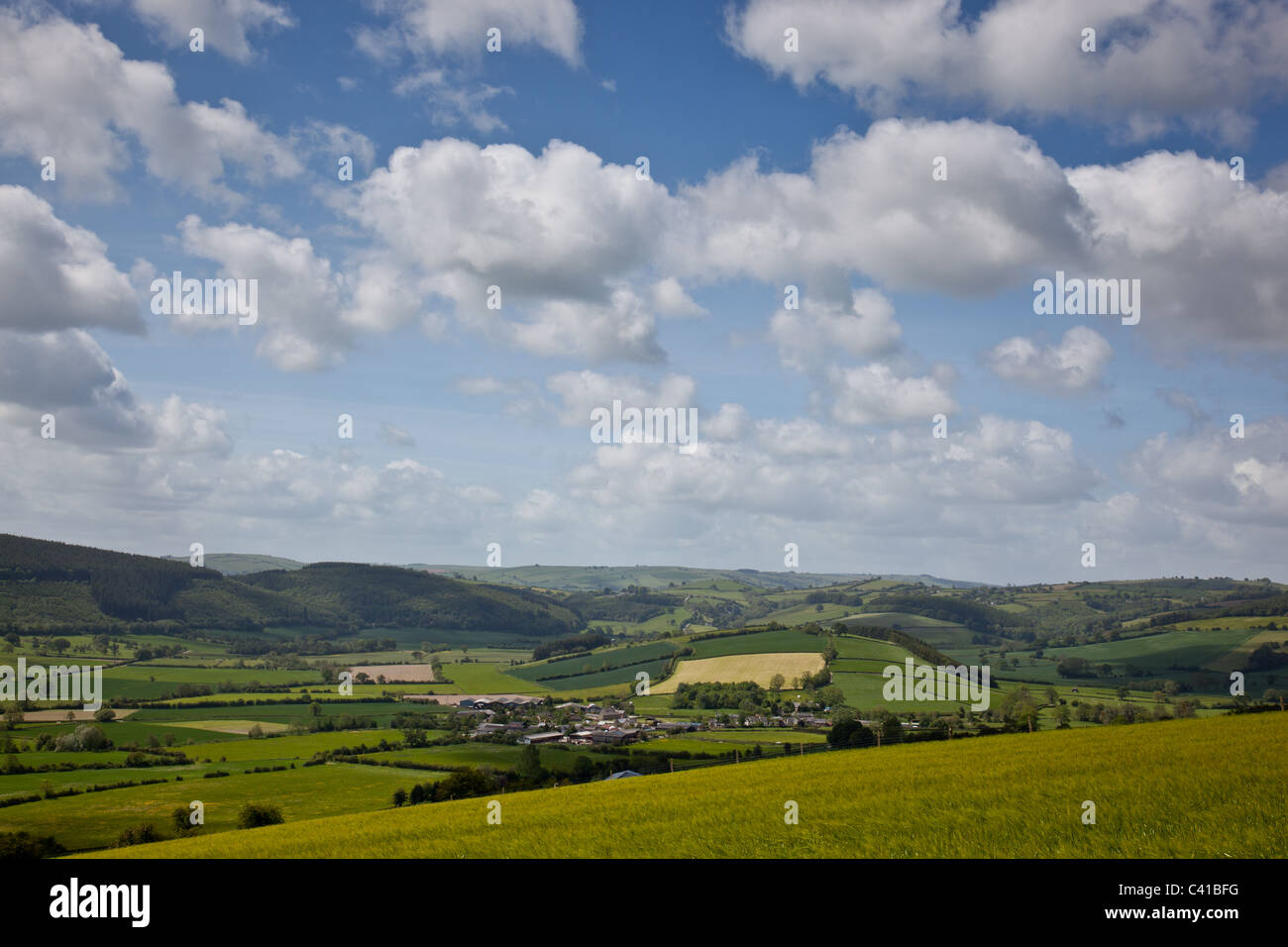 Brockton hires stock photography and images Alamy