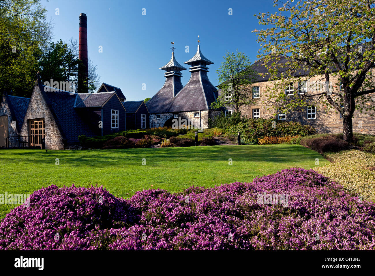 Springtime shot of Strathisla Distillery, with Spring flowers, in Keith