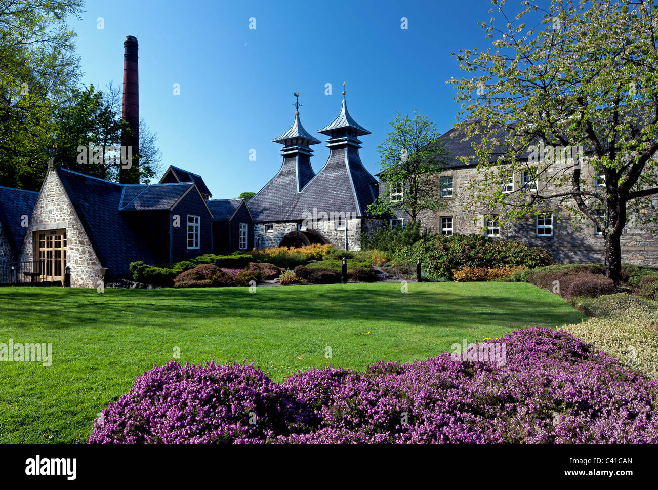 Springtime shot of Strathisla Distillery, with Spring flowers, in Keith