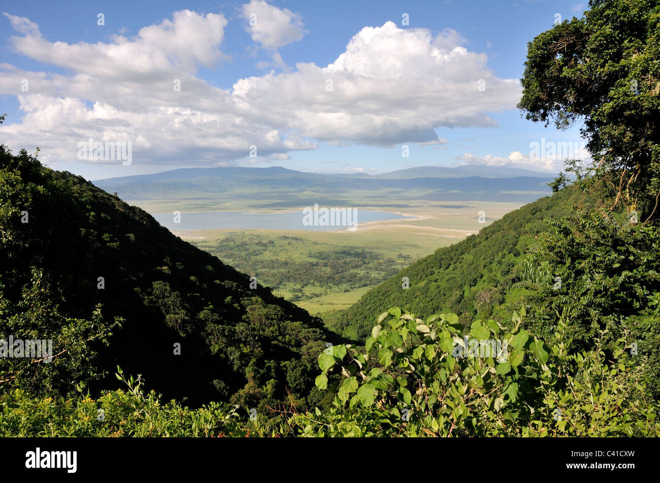 View into Ngorongoro Crater in Tanzania Stock Photo
