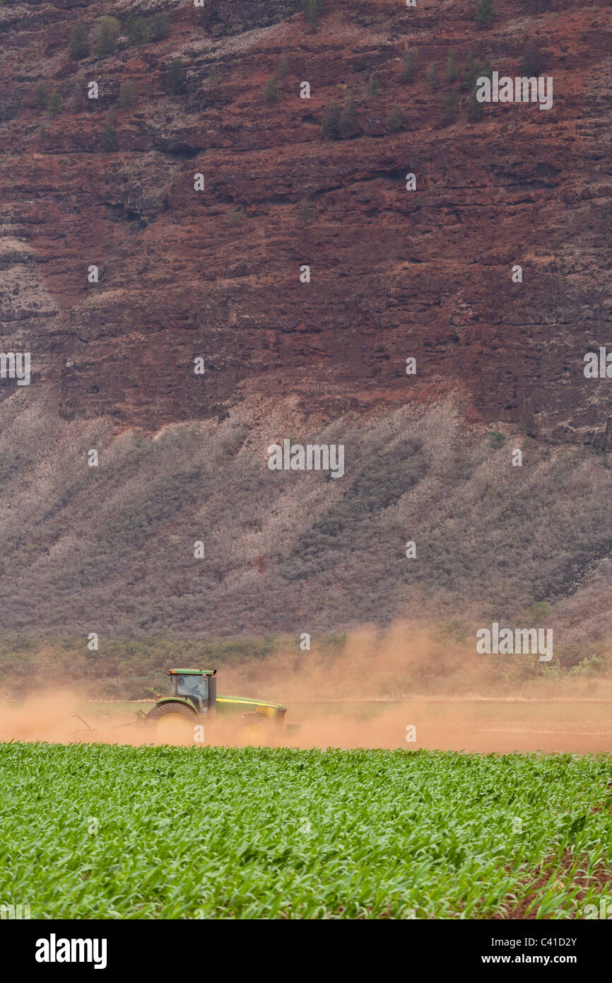 Tilling the Red Red soil of Kauai. A tractor stirs up a red soil dust storm as he plows a field below red cliff in Western Kauai Stock Photo