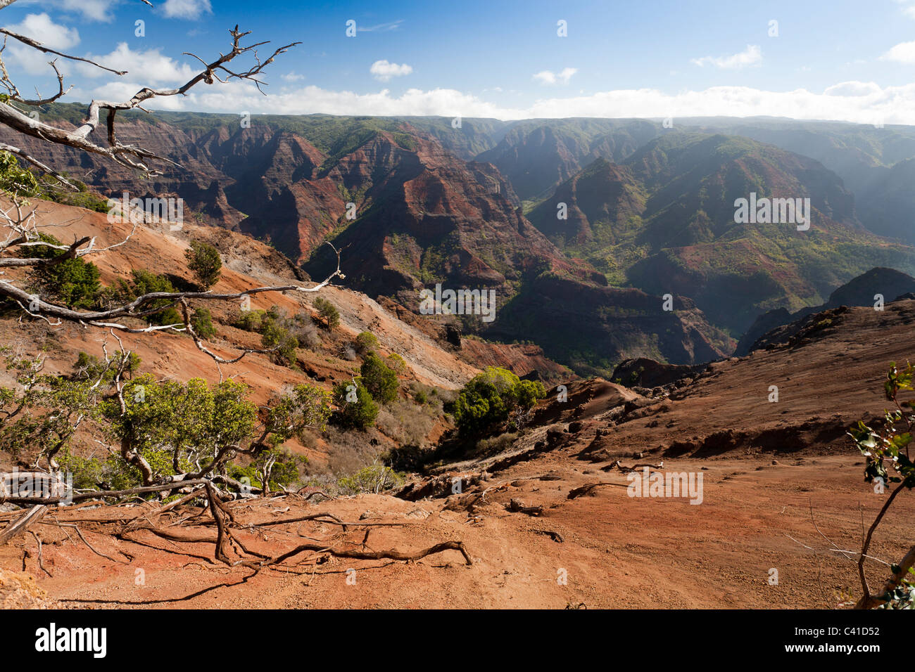 Pu'u Hina Hina Lookout. A red rock slide and dry branches lead down into the rough red canyon lands in the heart of Kaua'i. Stock Photo