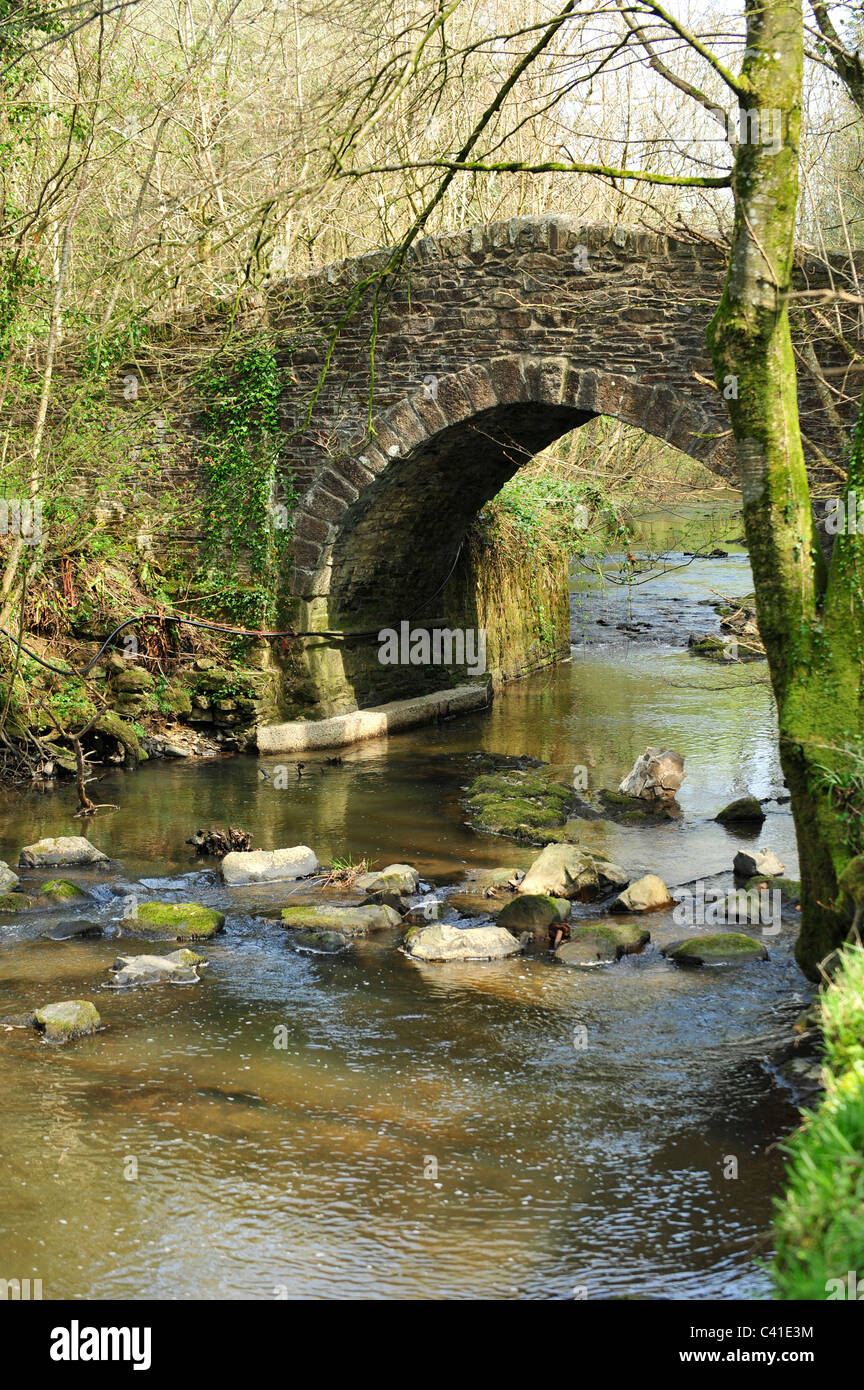 small stone bridge over river Lew Devon Stock Photo