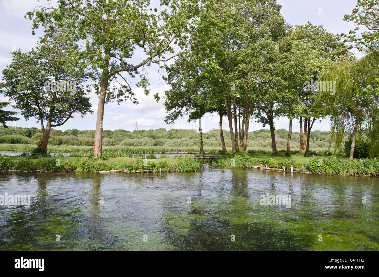 Trout fishing river test hi-res stock photography and images - Alamy