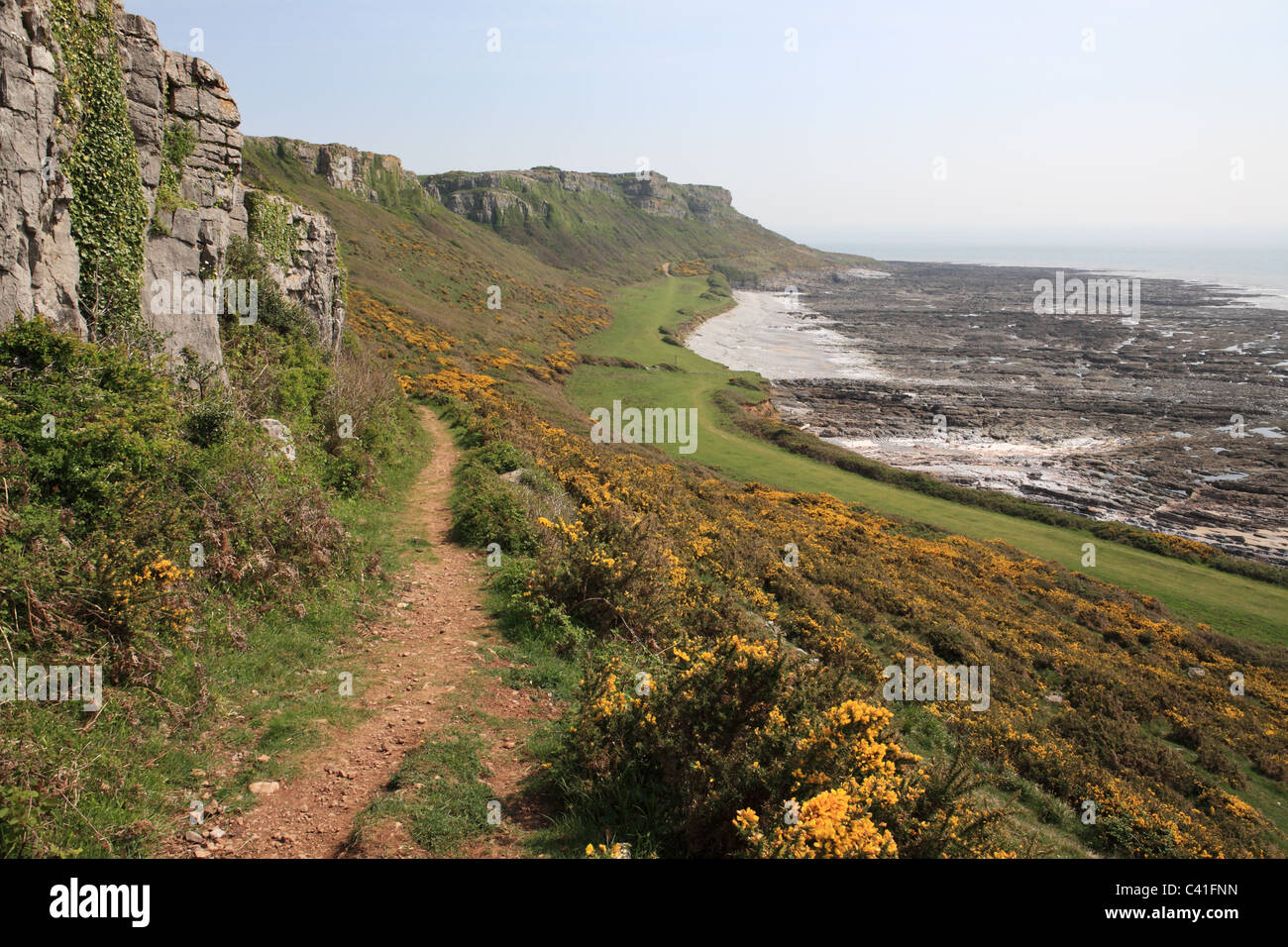 A view along the cliff path at Oxwich Bay, Gower Peninsular, South Wales, UK Stock Photo