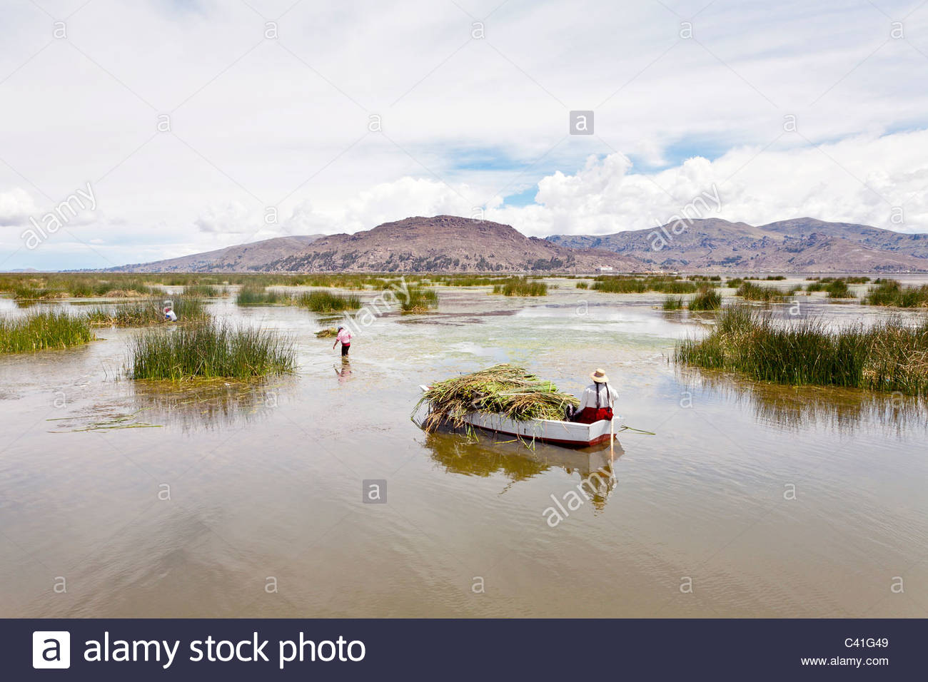 Reed Islands Of Lake Titicaca High Resolution Stock Photography and