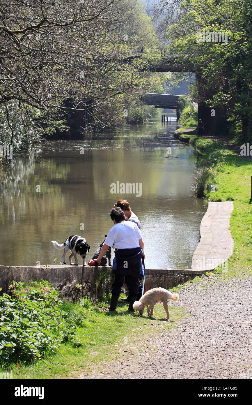 Two women with dogs at Aberdulais canal basin, South Wales, UK Stock Photo
