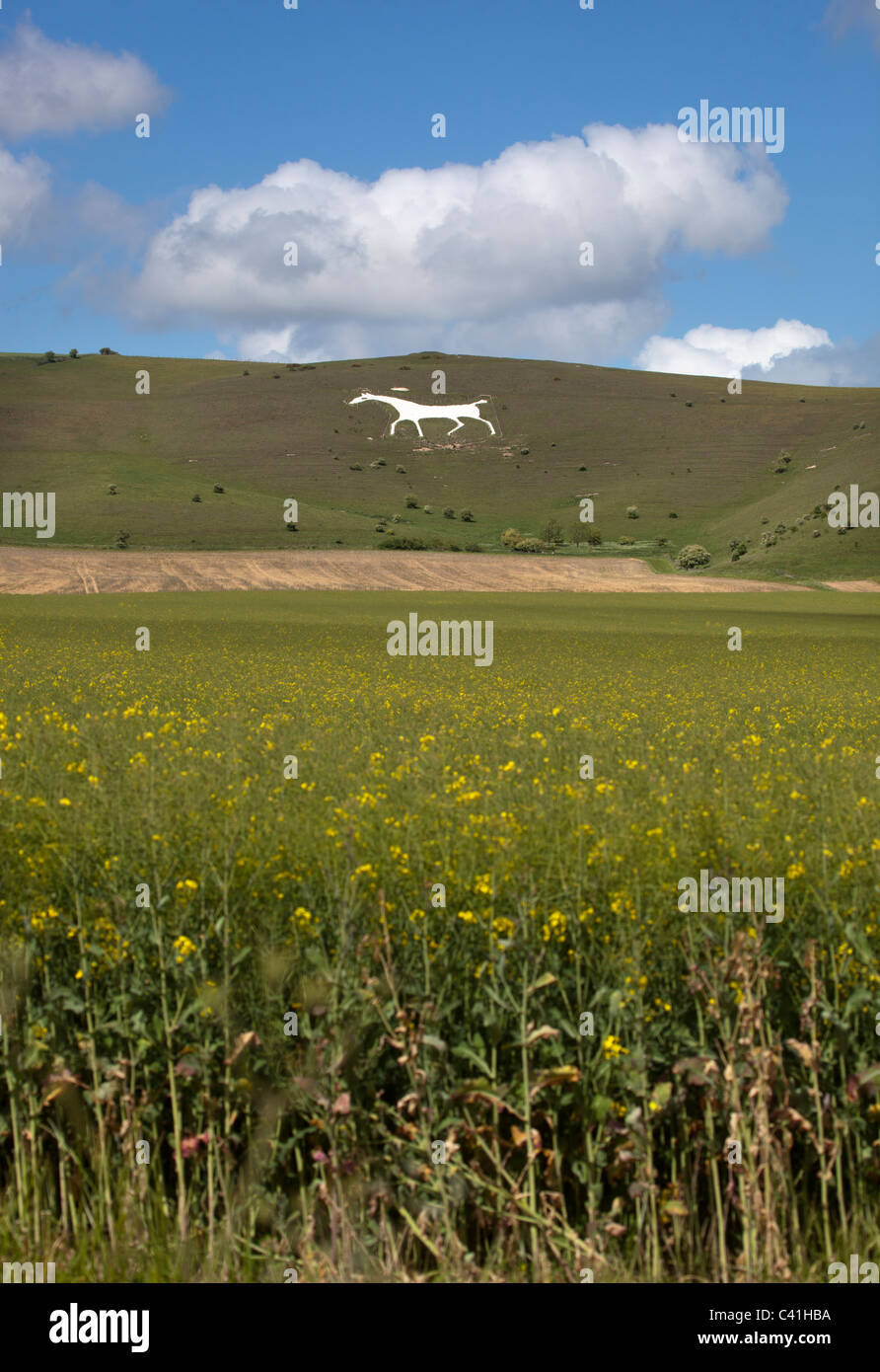 Milk hill white horse hires stock photography and images Alamy