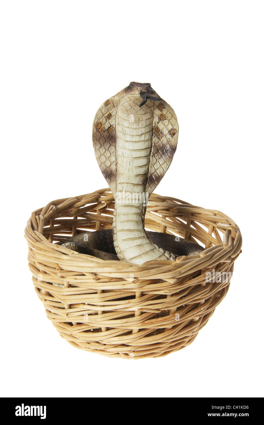 Cobra in basket hi-res stock photography and images - Alamy