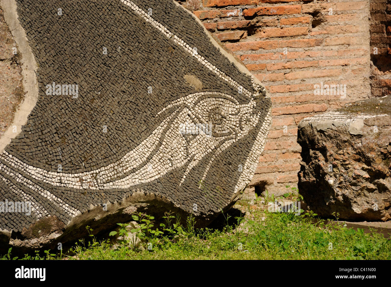 Italy, Rome, Terme di Caracalla, Roman mosaics, fish Stock Photo