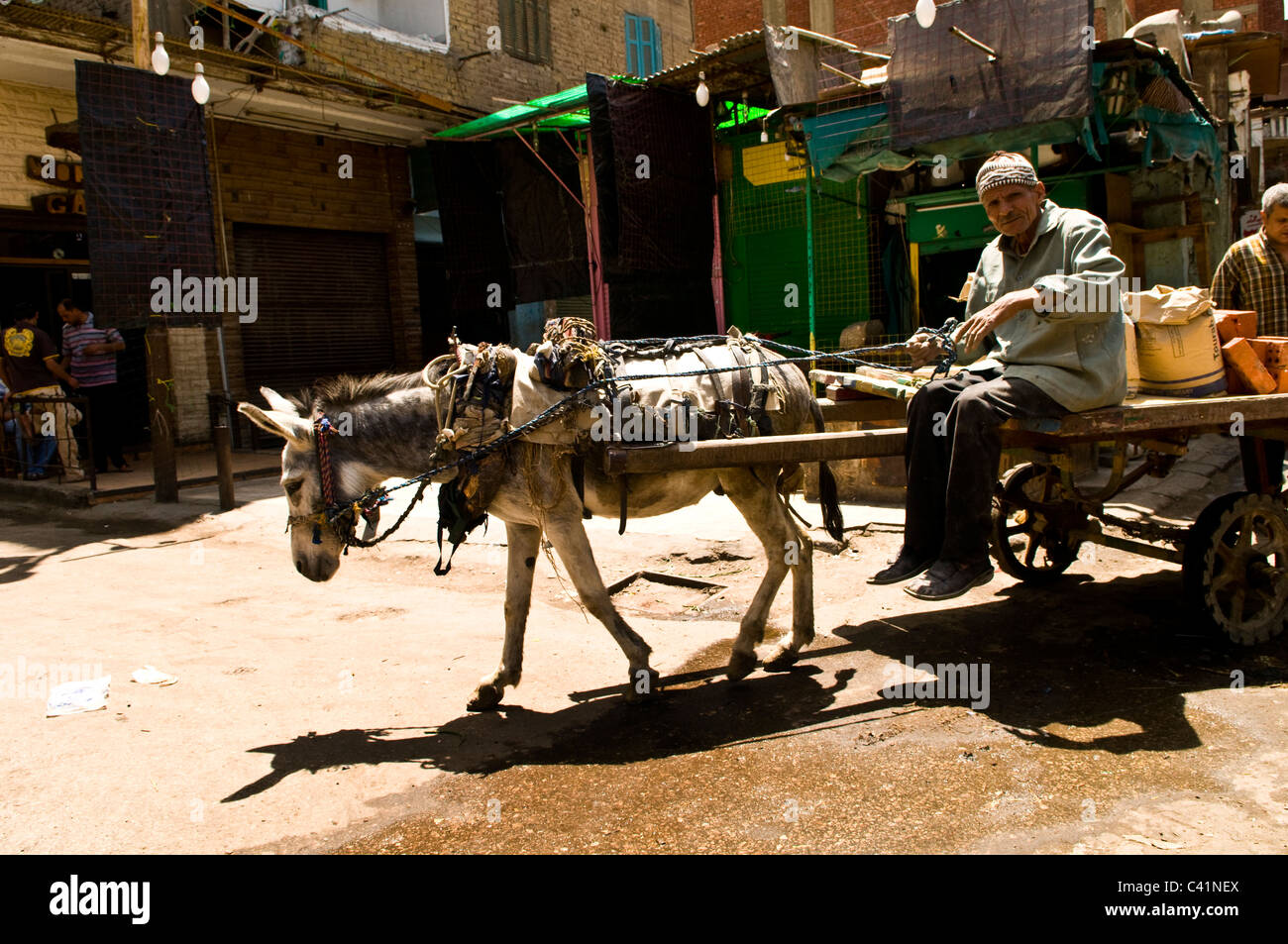 Donkeys are commonly used to pull carts throughout Egypt Stock Photo