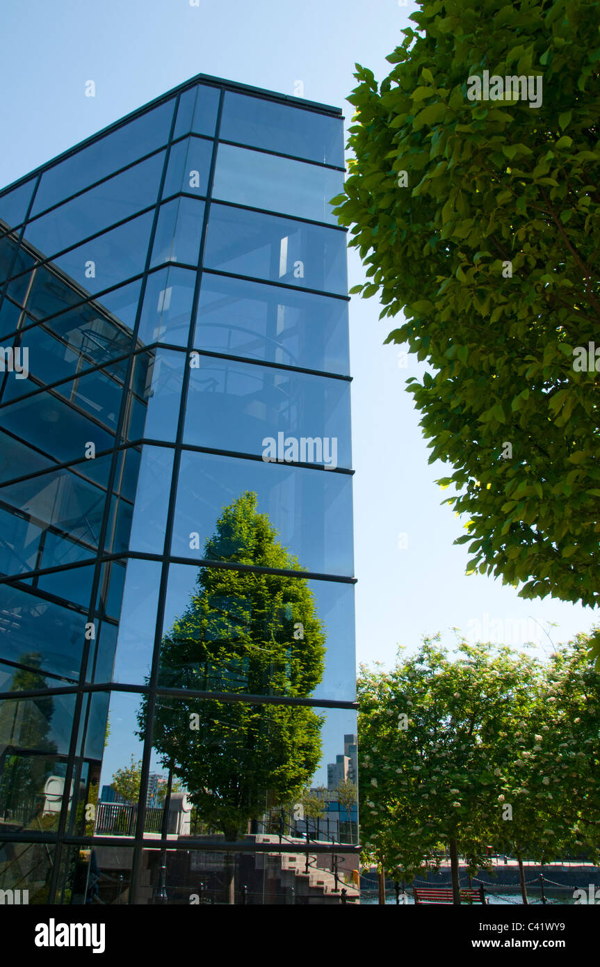 Tree office windows hi-res stock photography and images - Alamy