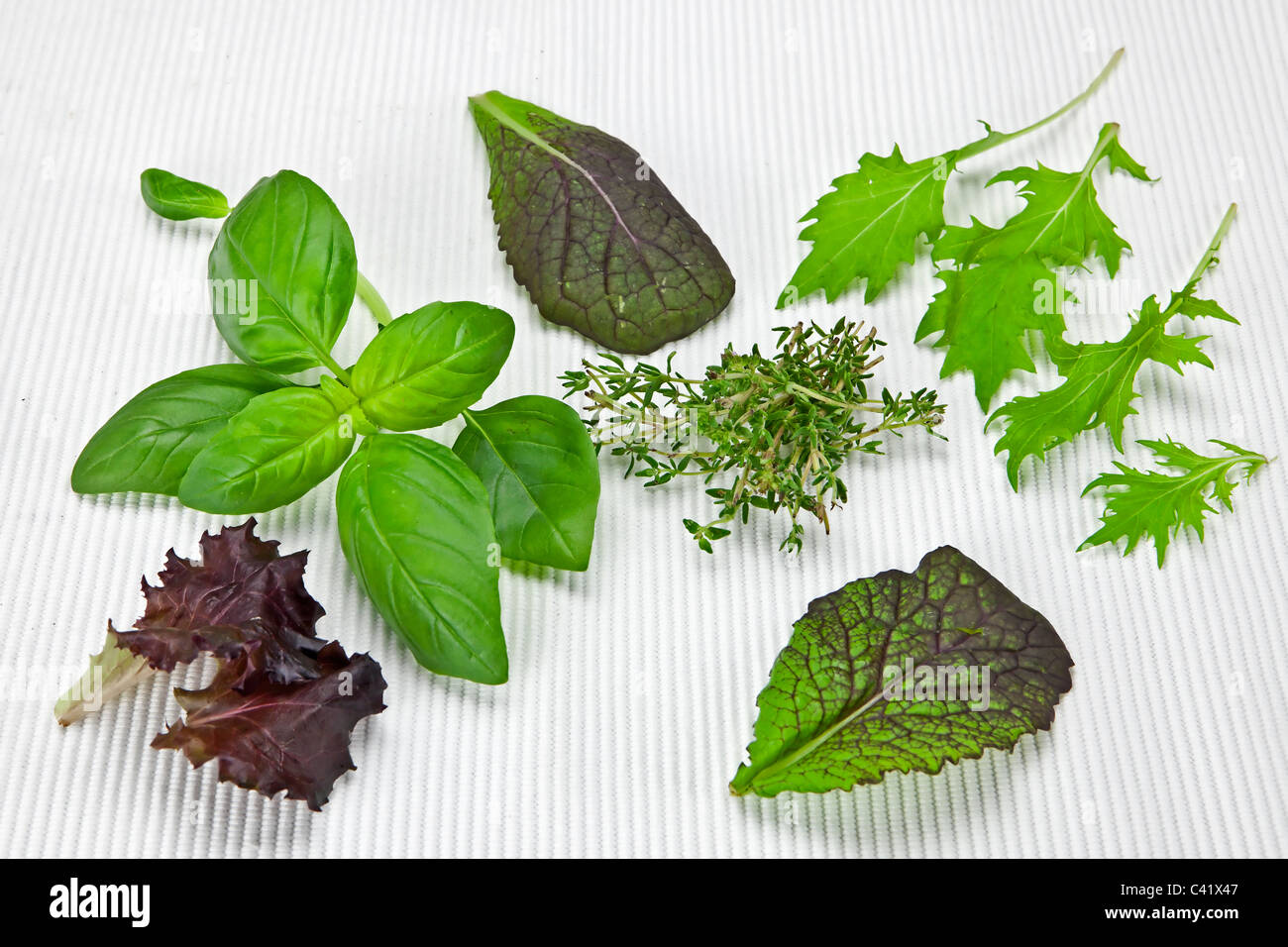variety of lettuces and herbs on a white mat Stock Photo