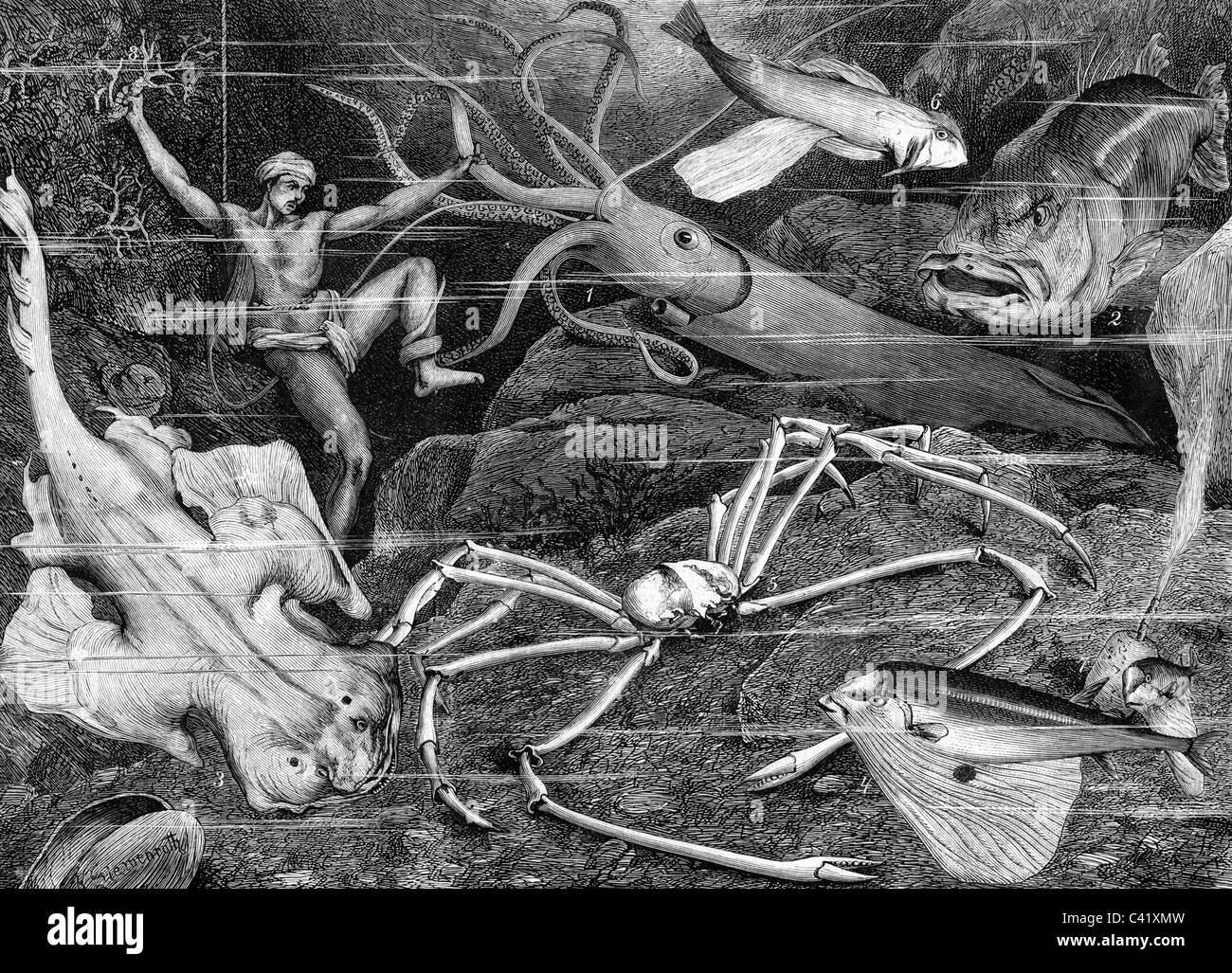 Zoology Fish And Sea Animals From The Japanese And Chinese Sea 1 Stock Photo Alamy