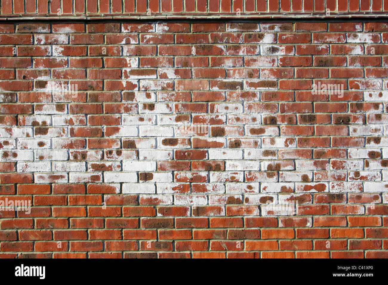 A white powdery deposit called efflorescence, common on new brick walls