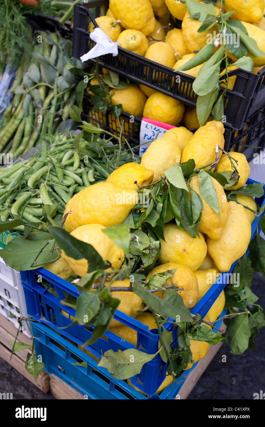 Amalfi coast lemons for sale in Amalfi (SA), Italy Stock Photo