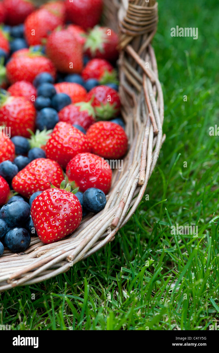Picked Strawberries and blueberries in a wicker basket on grass Stock Photo