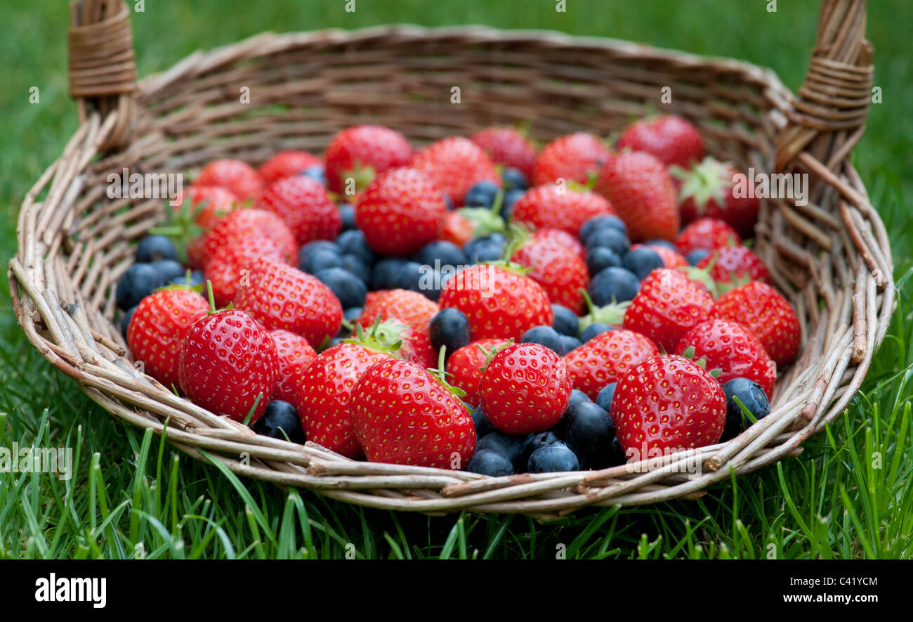 Picked Strawberries and blueberries in a wicker basket on grass Stock Photo