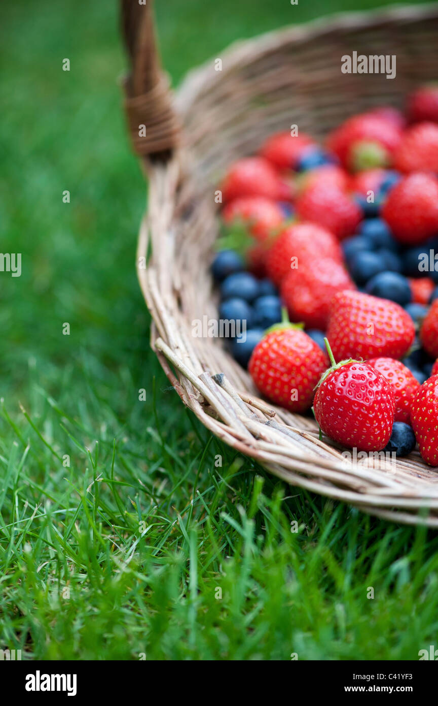 Strawberries and blueberries in a wicker basket on grass Stock Photo