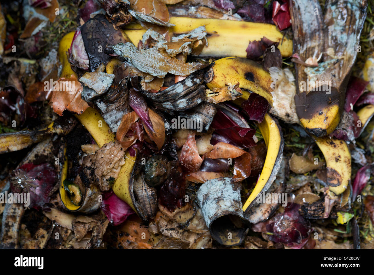 Detail of organic vegetable and fruit matter inside a home