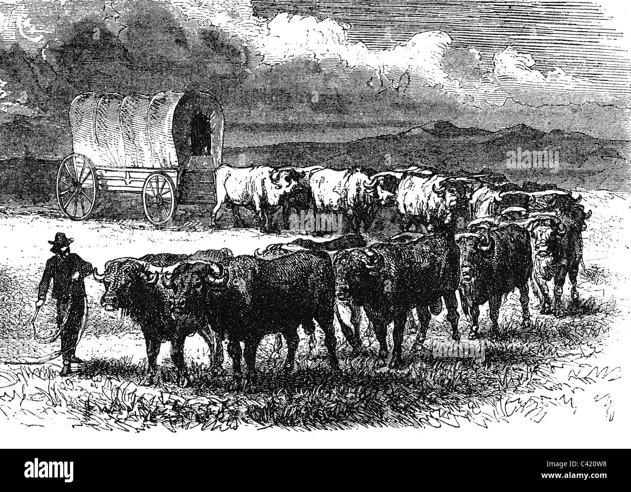 geography / travel, USA, settlers, covered wagon with a team of oxen, wood engraving, 2nd half 19th century, draught animals, pioneers, Wild West, frontier, North America, historic, historical, people, Additional-Rights-Clearences-Not Available Stock Photo