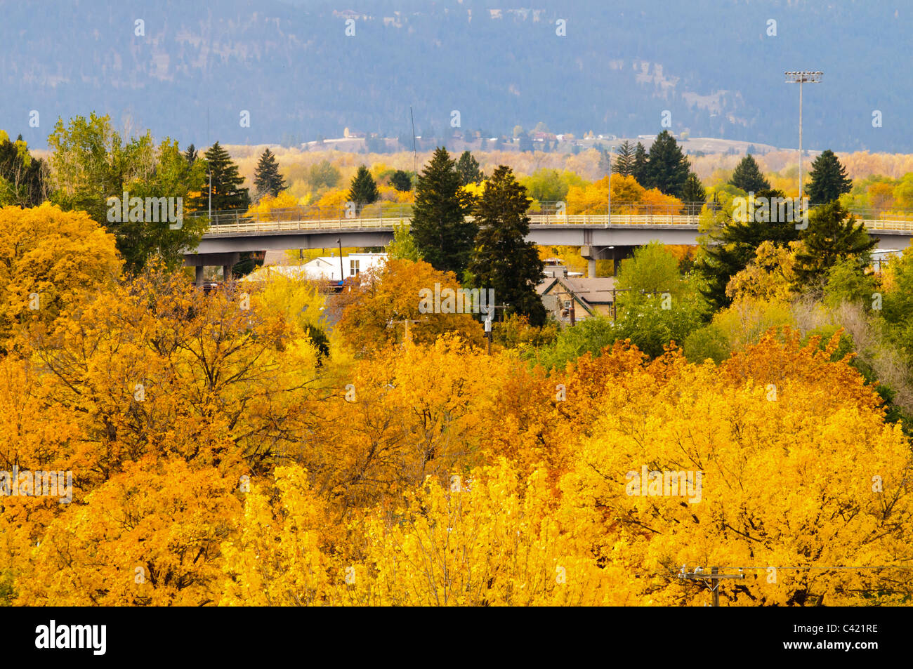From the north hills, Missoula, Montana presents a canopy of trees