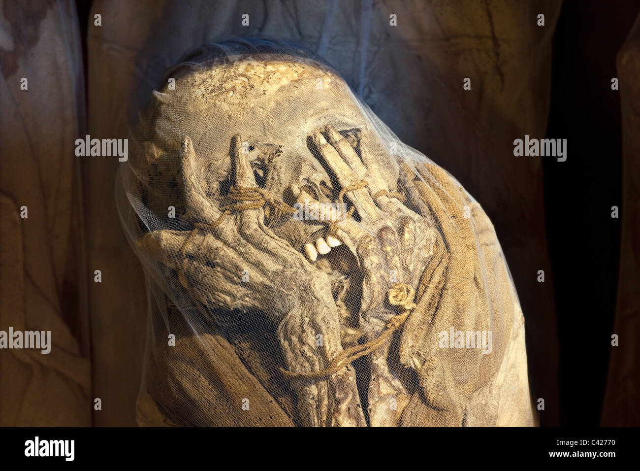 Peru, Leymebamba, Leimebamba, Museum. Mummy found at Laguna de los Condores. (unwrapped from their original bundles). Stock Photo