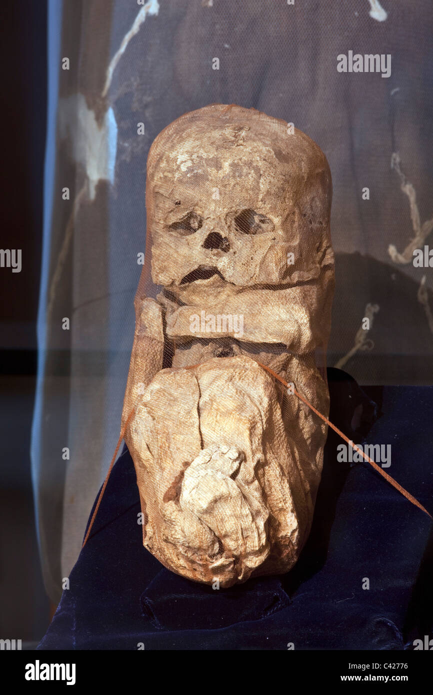 Peru, Leymebamba, Leimebamba, Museum. Mummy found at Laguna de los Condores. (unwrapped from their original bundles). Baby. Stock Photo