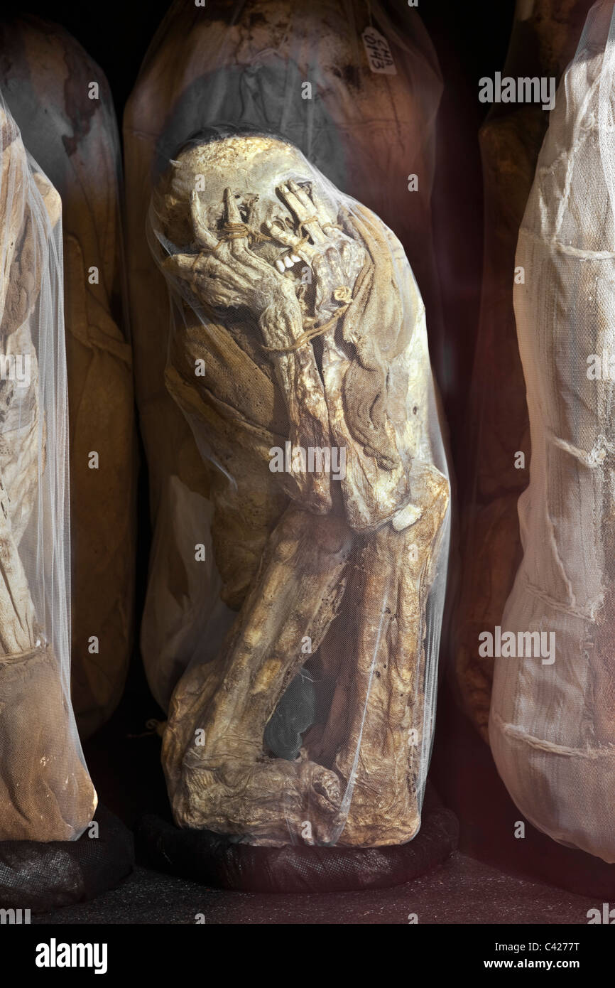 Peru, Leymebamba, Leimebamba, Museum. Mummies found at Laguna de los Condores. (unwrapped from their original bundles). Stock Photo