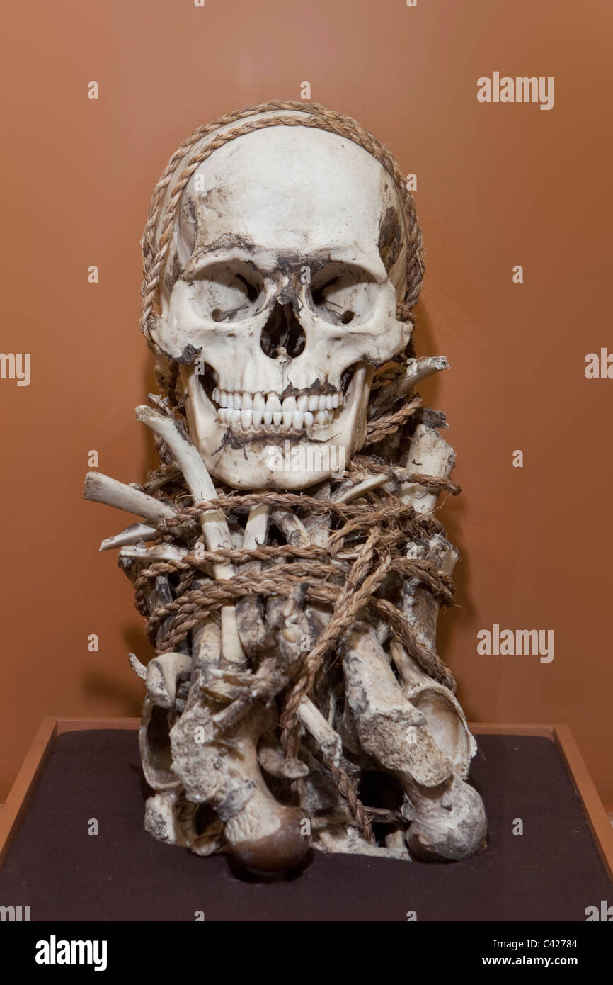 Peru, Leymebamba, Leimebamba, Museum. Skeleton found at Laguna de los Condores. Stock Photo