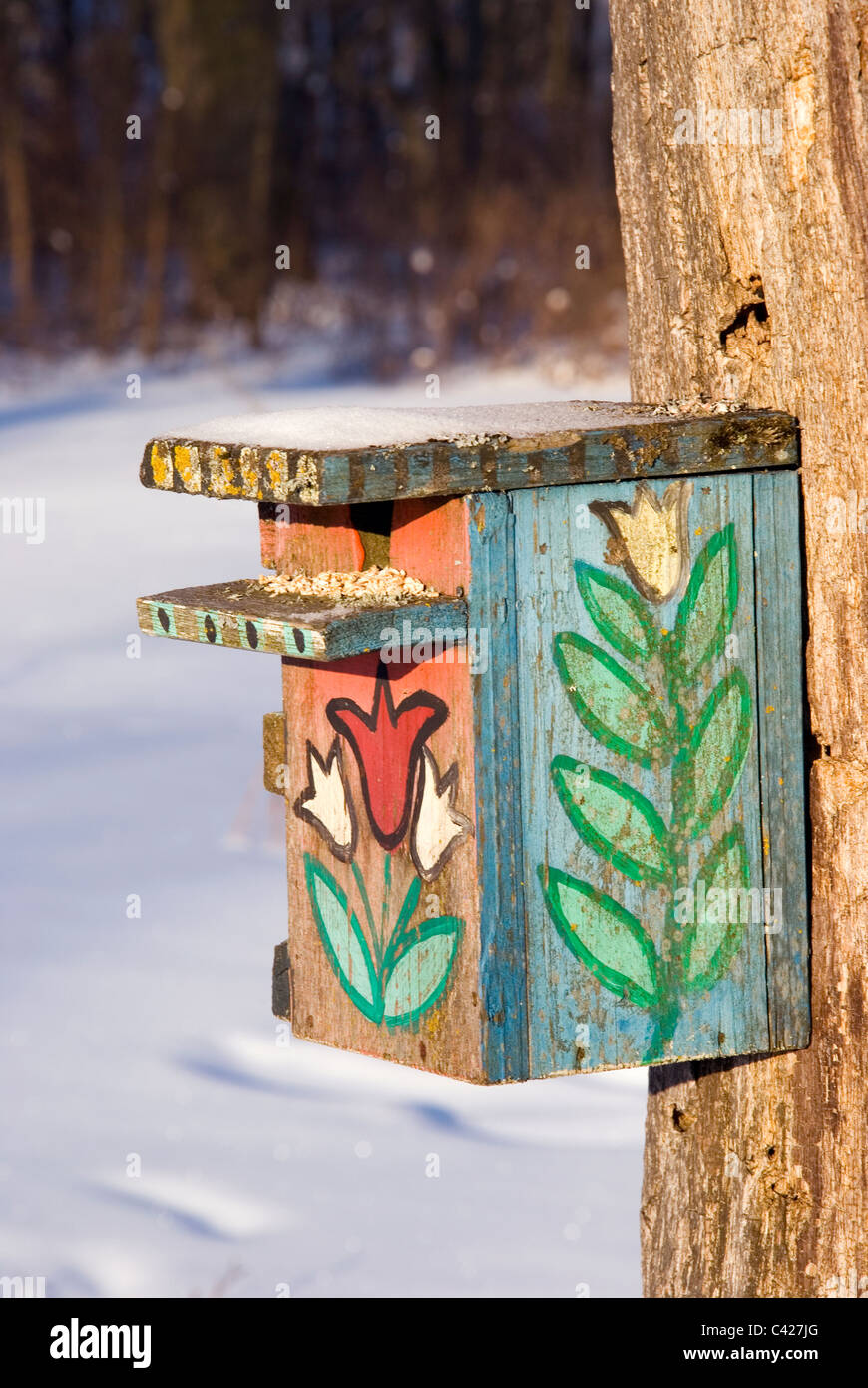 Beautiful painted nesting box in winter becomes feed for birds. Stock Photo