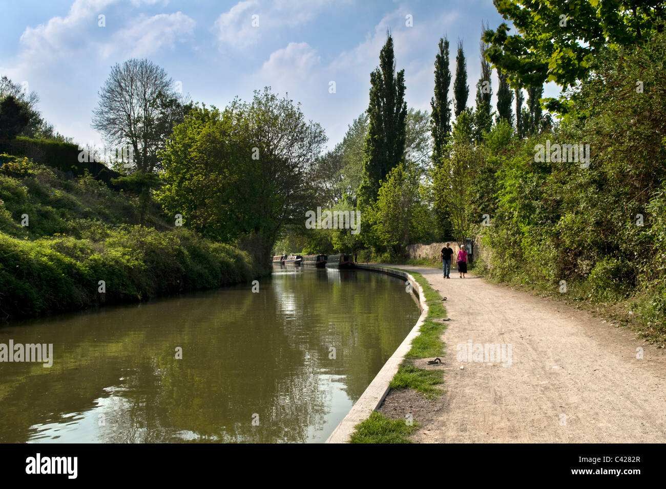 Spring, early summer canal scene on the Kennet and avon canal taken at Bradford on Avon, Wiltshire, England, uk Stock Photo
