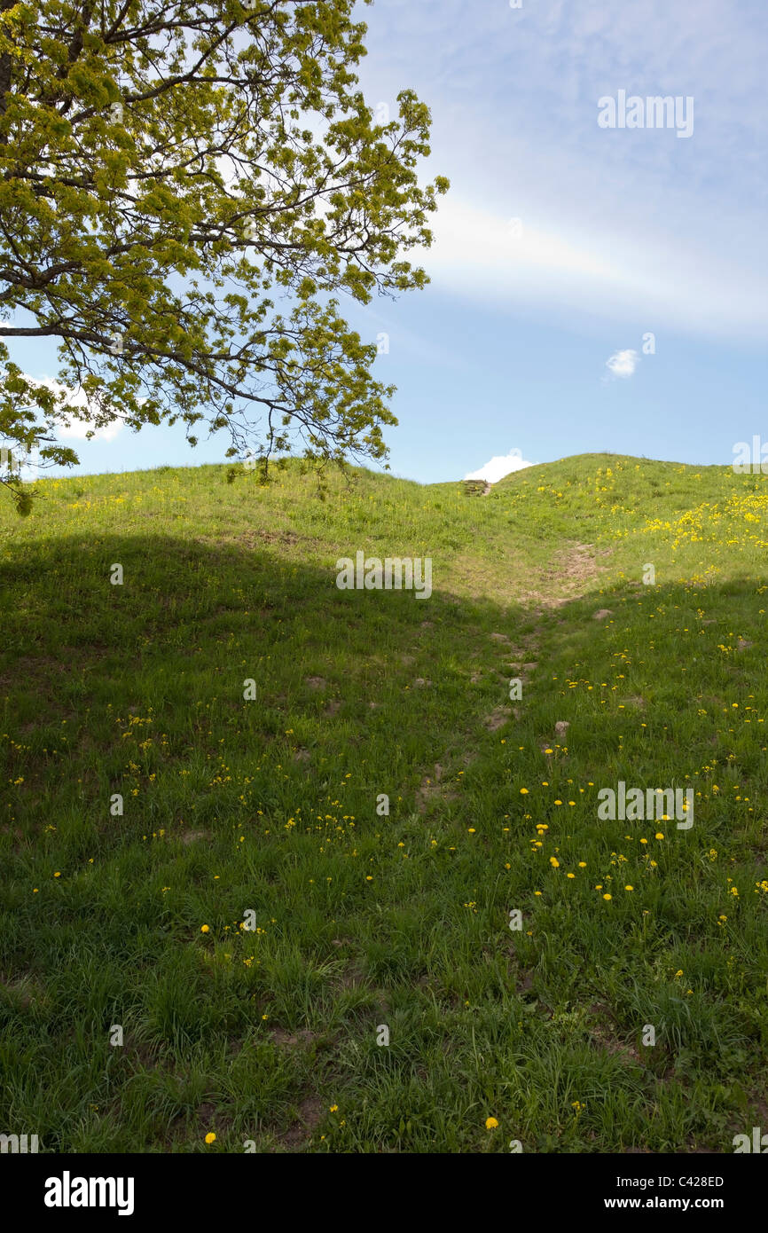hillside with tree shadow Stock Photo