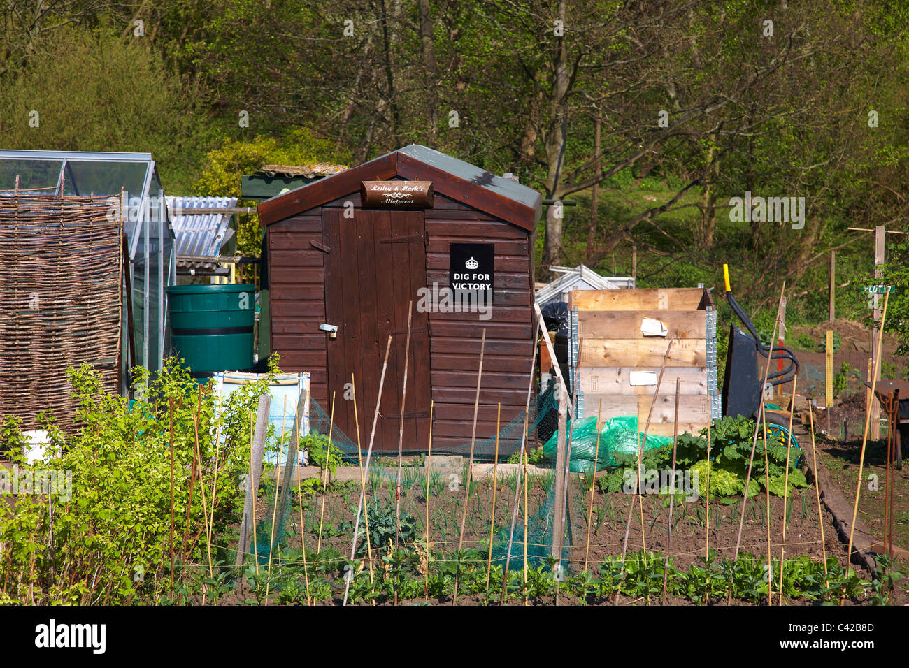 Allotment With Dig For Live Written On Shed In Crewe Cheshire Uk