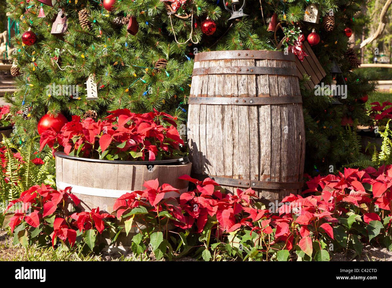 Christmas holiday tree and decorations at Fort Wilderness Resort in Walt Disney World, Kissimmee