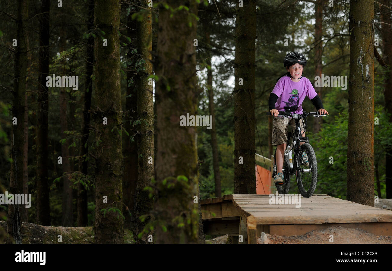 haldon forest mountain biking