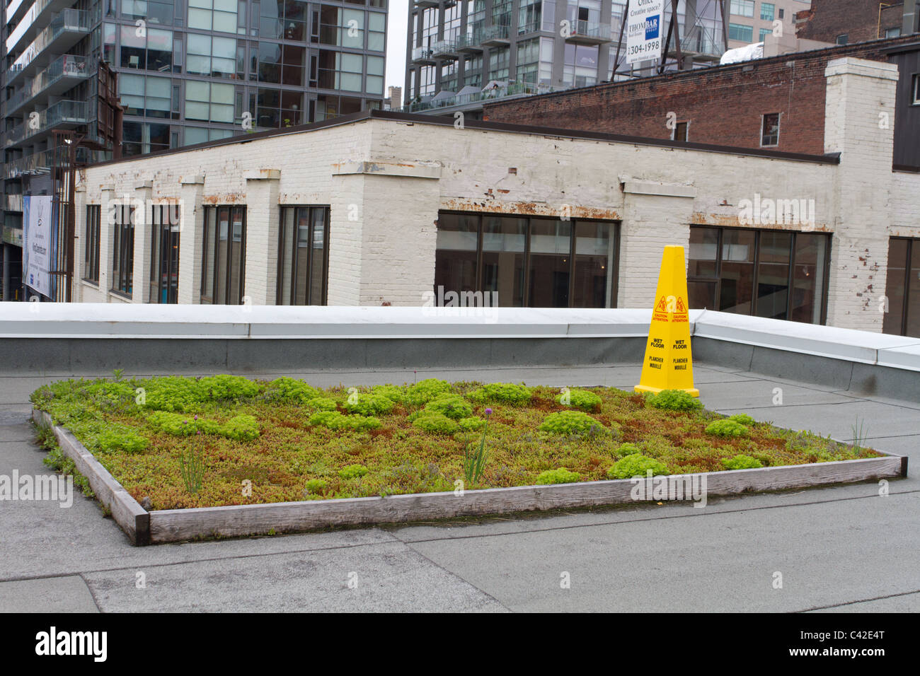 sustainable green roof top city Stock Photo