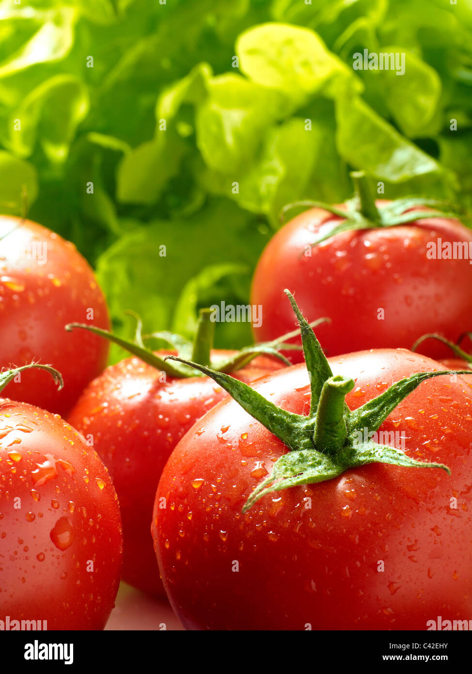 Fresh vineripened tomatoes Stock Photo Alamy