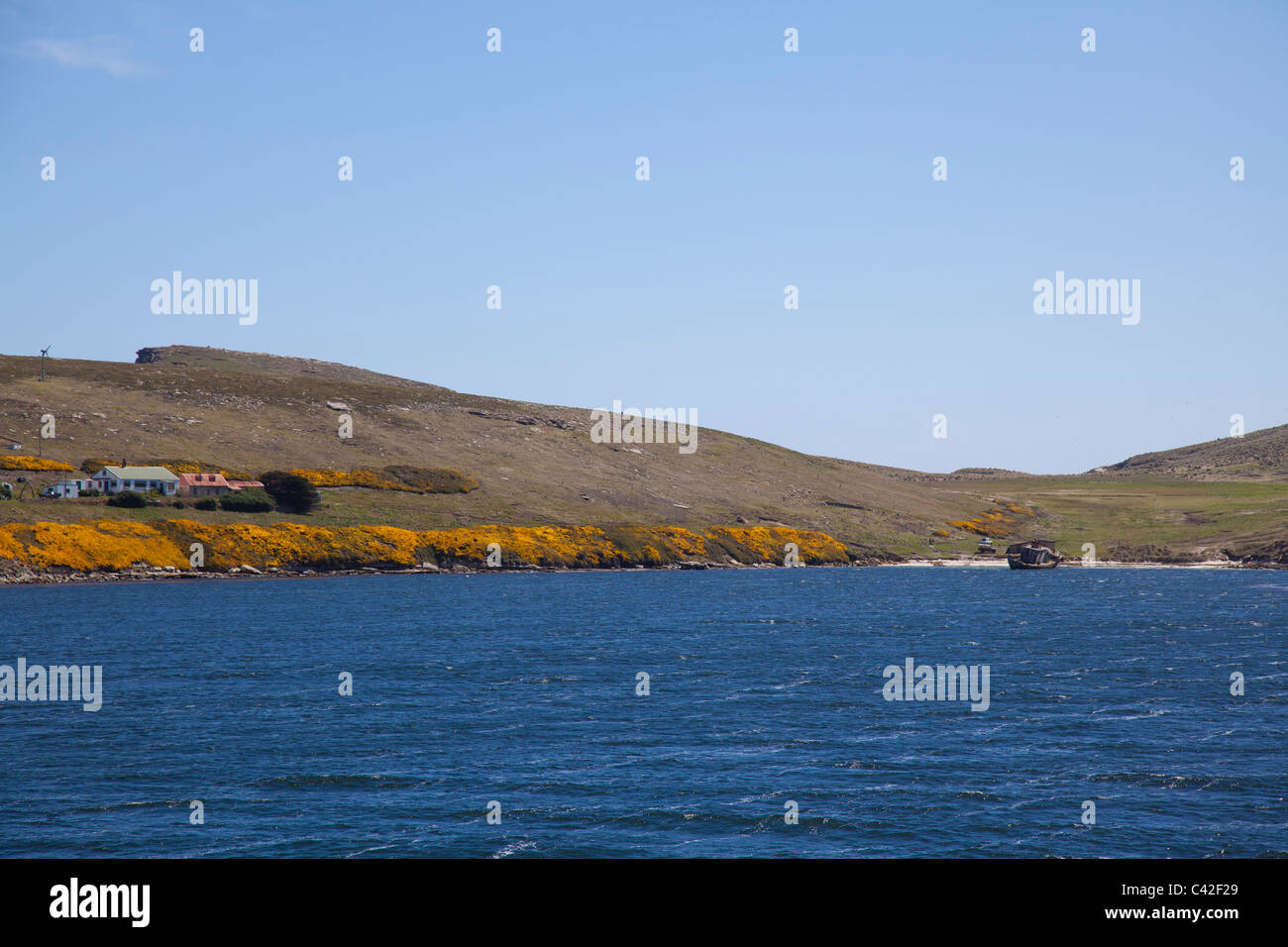 The tiny settlement at New Island, West Falklands Stock Photo
