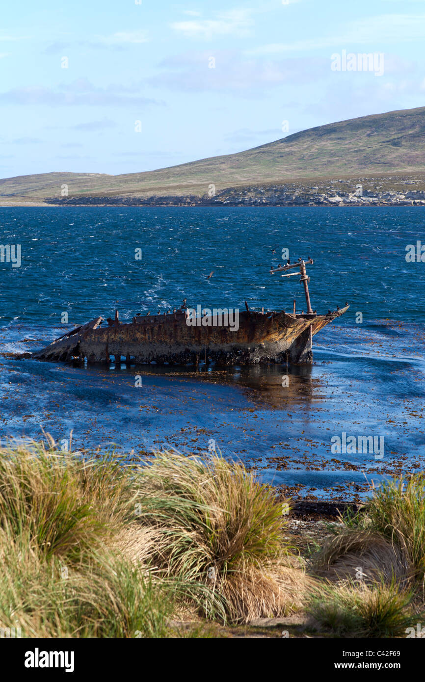 Partially submerged ship wreck at New Island, West Falklands Stock Photo