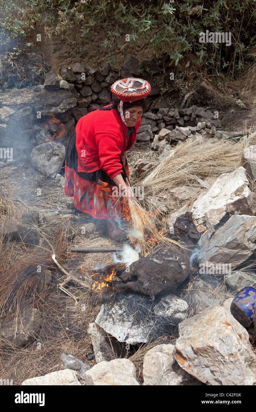 Peru, Patakancha, Patacancha, village near Ollantaytambo. Indian Woman in traditional dress slaughtering pig. Stock Photo