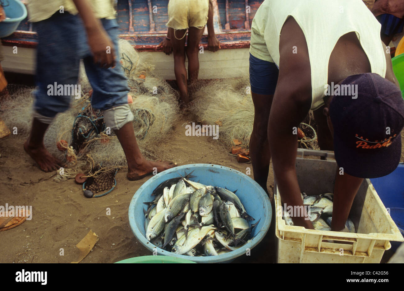 Poisson Pecheur High Resolution Stock Photography And Images Alamy