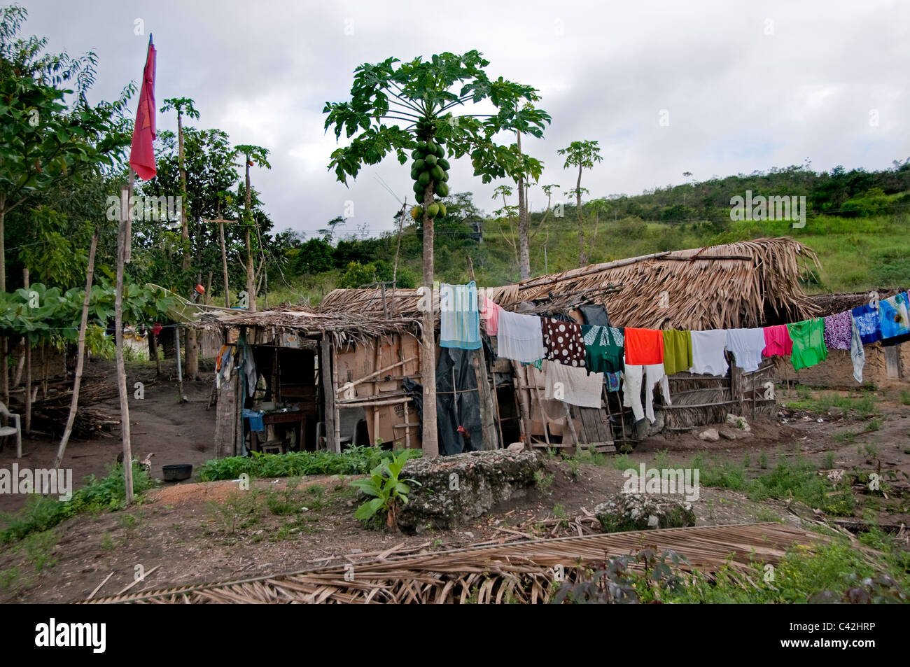 Movimento Dos Sem Terra  MST Is a political movement in Brazil where landless rural workers squat or reclaim unused  land. Stock Photo